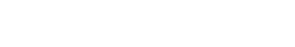 IQ Technology Solutions